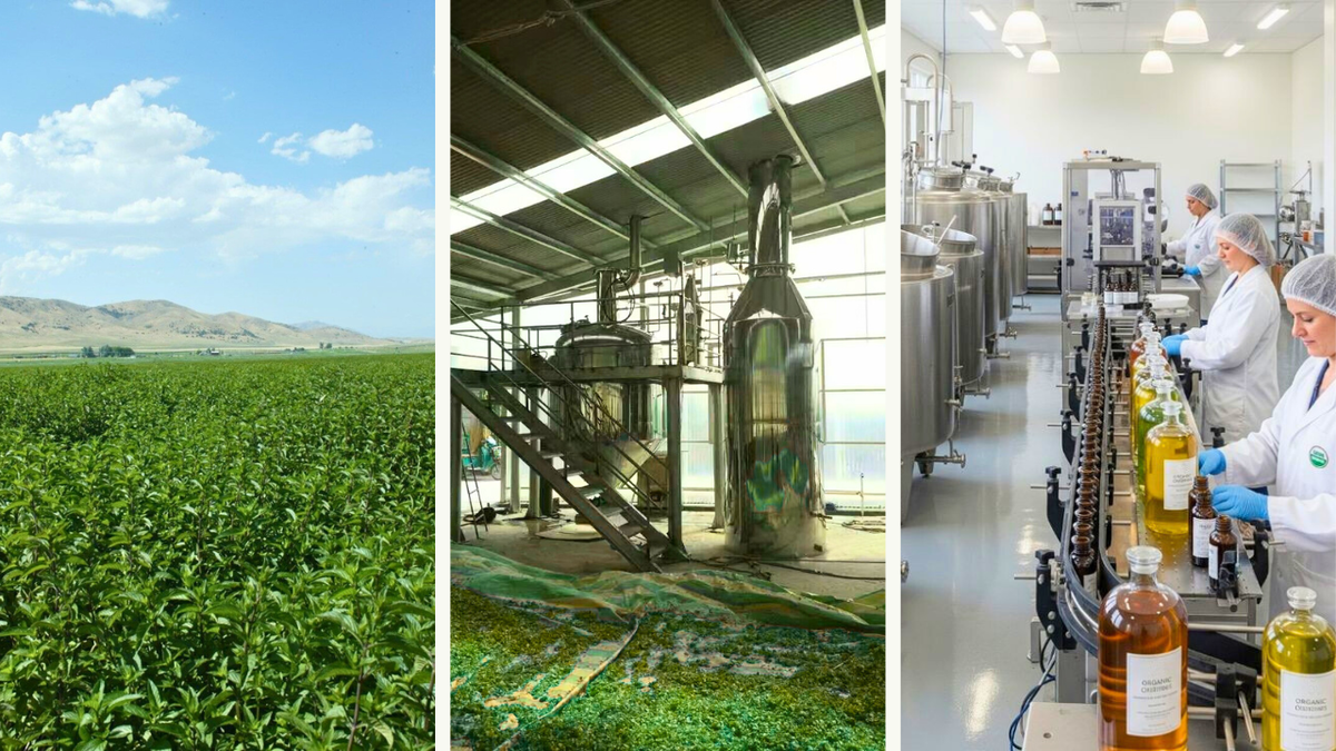 Florus production process
